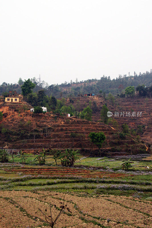 尼泊尔:喜马拉雅山麓