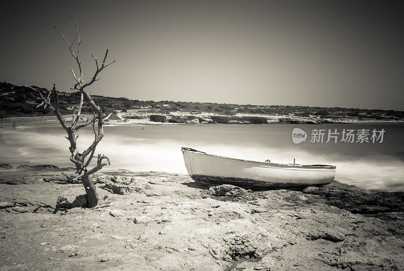 Koufonissi海滩上的一棵枯树和一艘小船