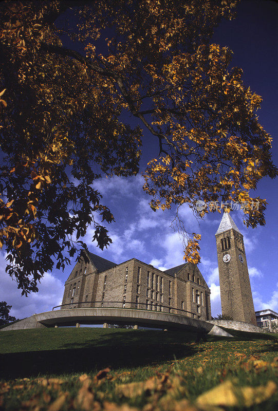 康奈尔大学在秋天