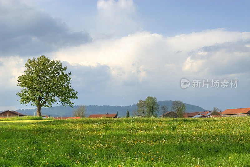 红色屋顶的夏日田野