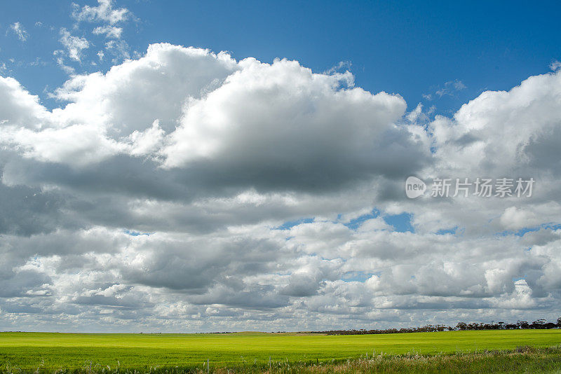 乌云笼罩着绿色的田野