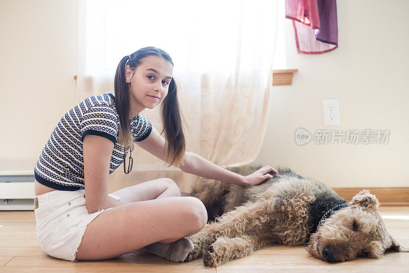 一个少女和一只小猎犬在窗边