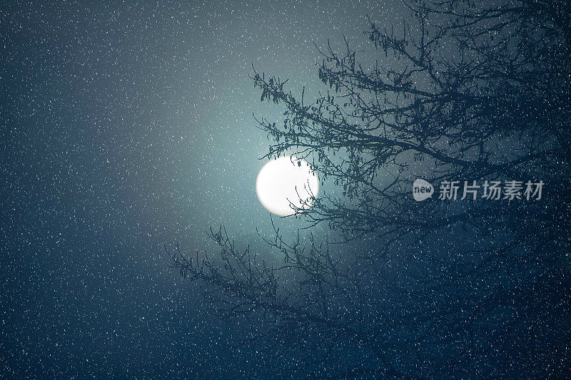 下雪的夜晚