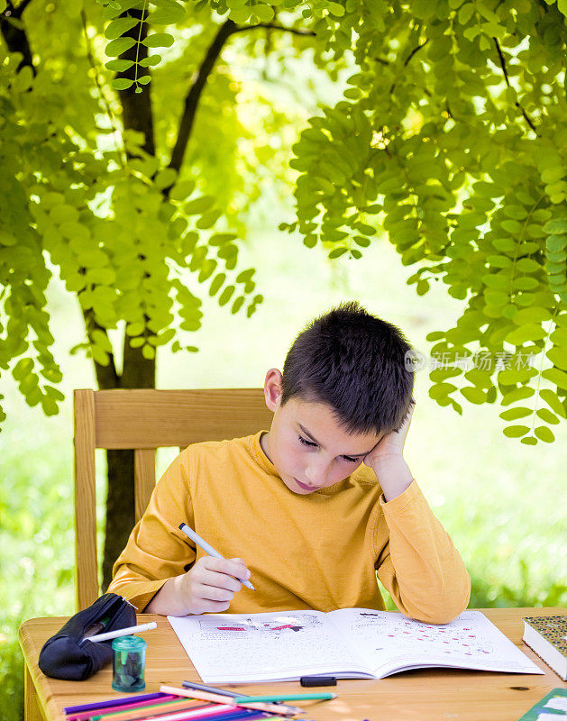 男孩在树下户外学习