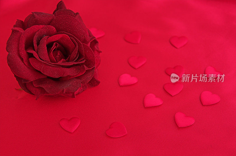 情人节的玫瑰和心