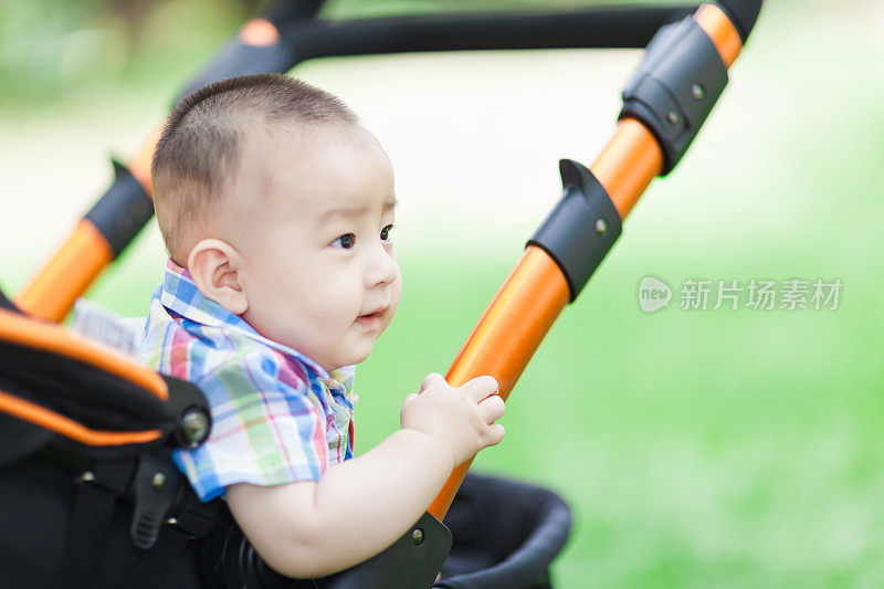 草坪上的婴儿车里的小男孩