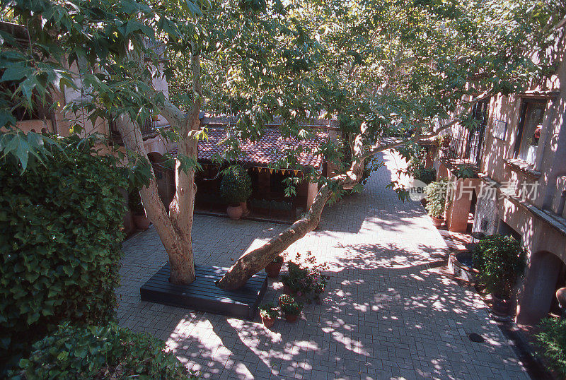 亚利桑那州塞多纳特拉克帕克村庭院里的大树遮荫