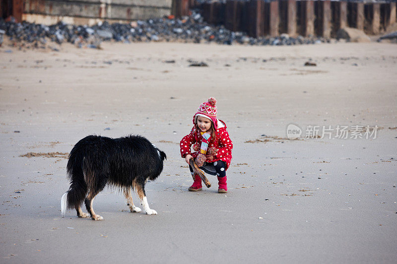 4岁女孩和博德牧羊犬在海滩上