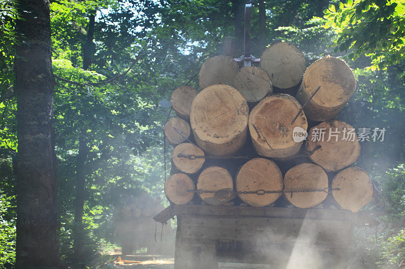 福雷斯特的老卡车