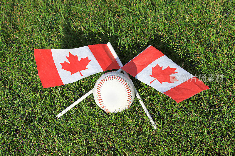草地上的棒球和加拿大国旗