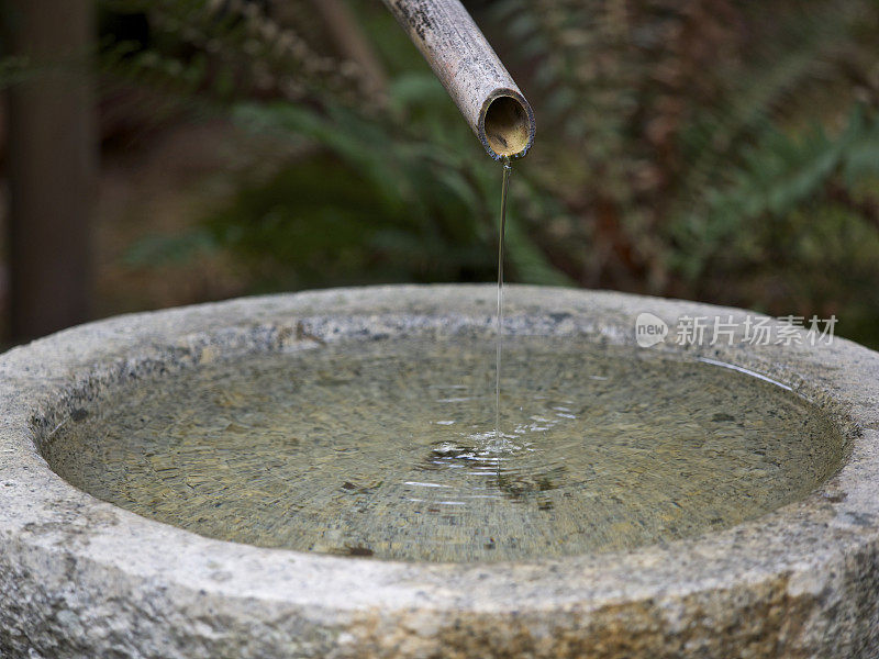 水景竹竿石碗波特兰日本花园俄勒冈州