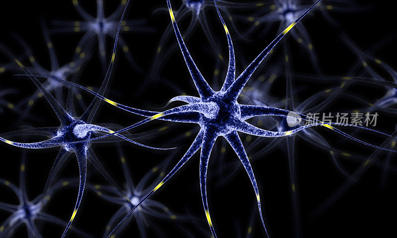 神经网络，脑细胞，人类神经系统，神经元三维插图