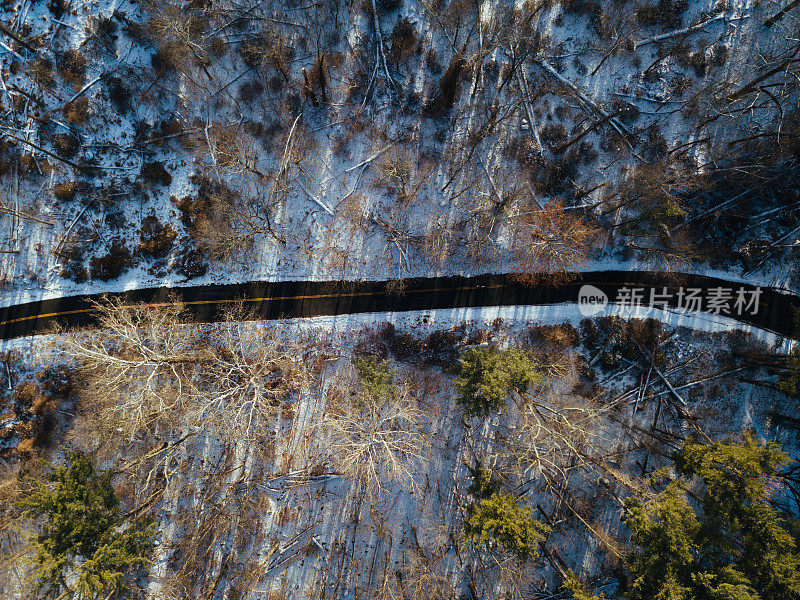 鸟瞰图的道路在森林中央的雪