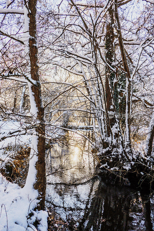 冰雪覆盖的景观冬季风景