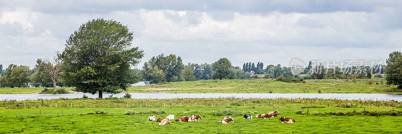 荷兰河景观