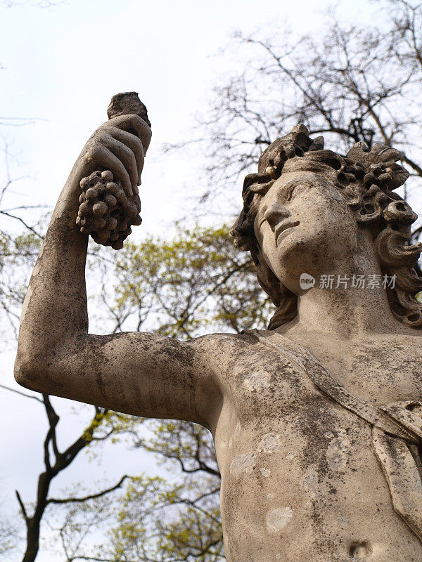 酒神狄俄尼索斯或酒神巴克斯的雕像和一串葡萄