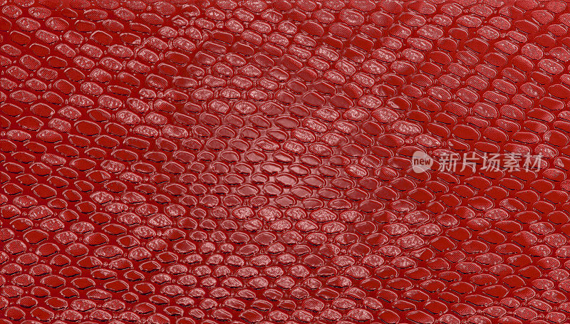红色蛇皮纹理背景