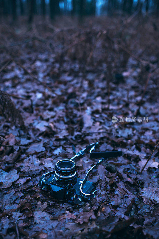老式单反相机躺在秋天的森林里。