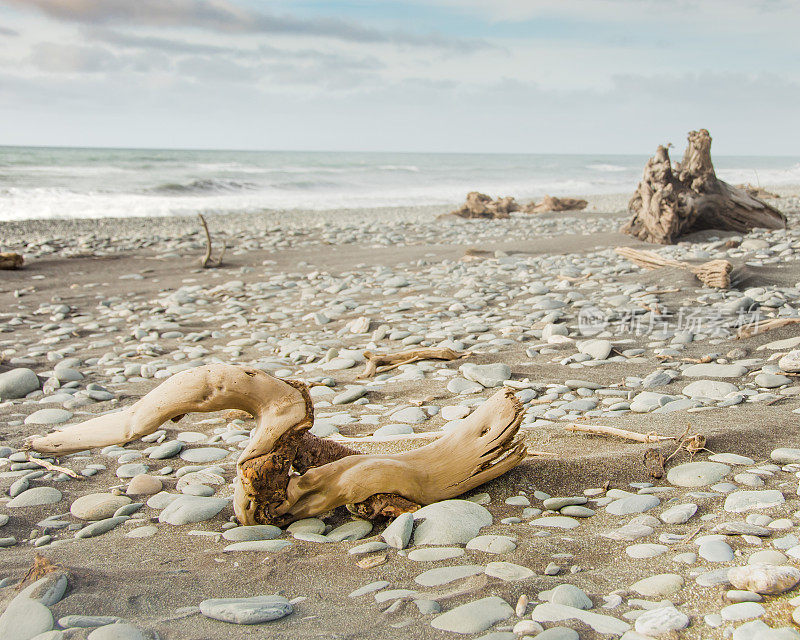 浮木和岩石沿海滩2
