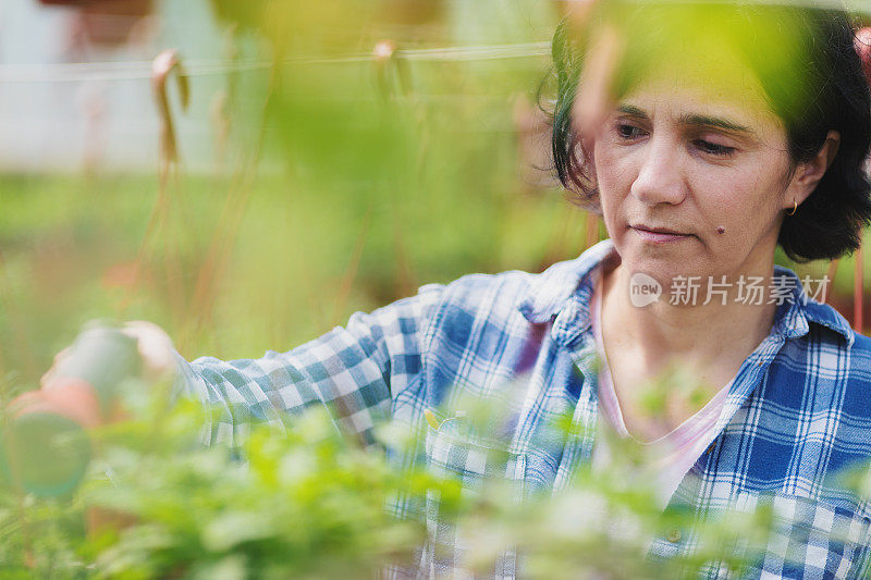 女人在花园里干活