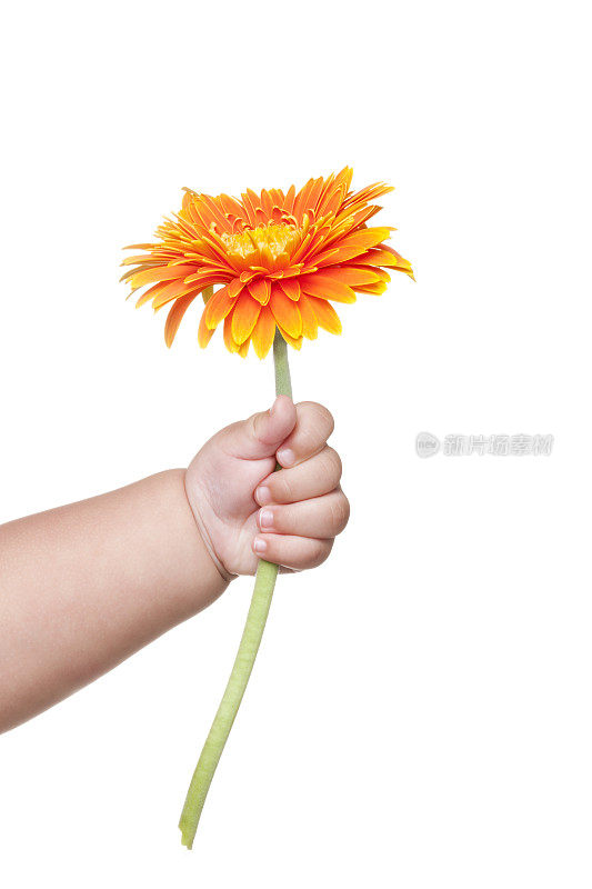 婴儿手拿鲜花