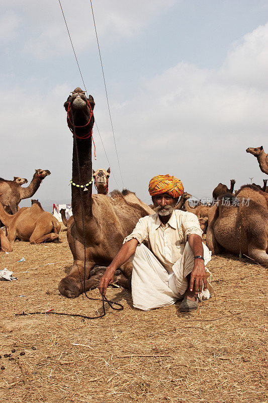 在普什卡，一名骆驼牧人和他的牧群坐在一起