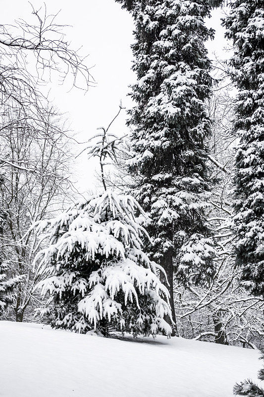 下雪的冬天