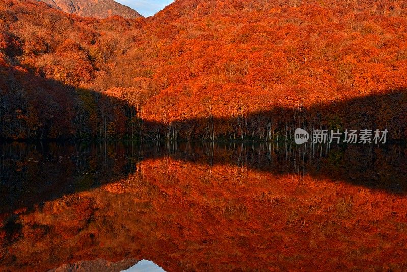 日本东北部和田市秋季沼泽的光影