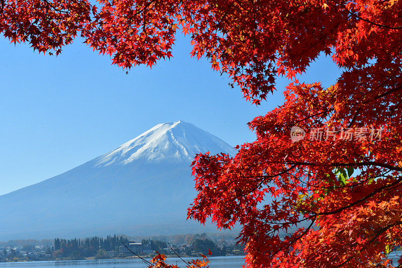 日本富士五湖地区的富士山和秋叶