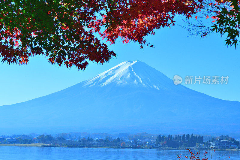 日本富士五湖地区的富士山和秋叶色