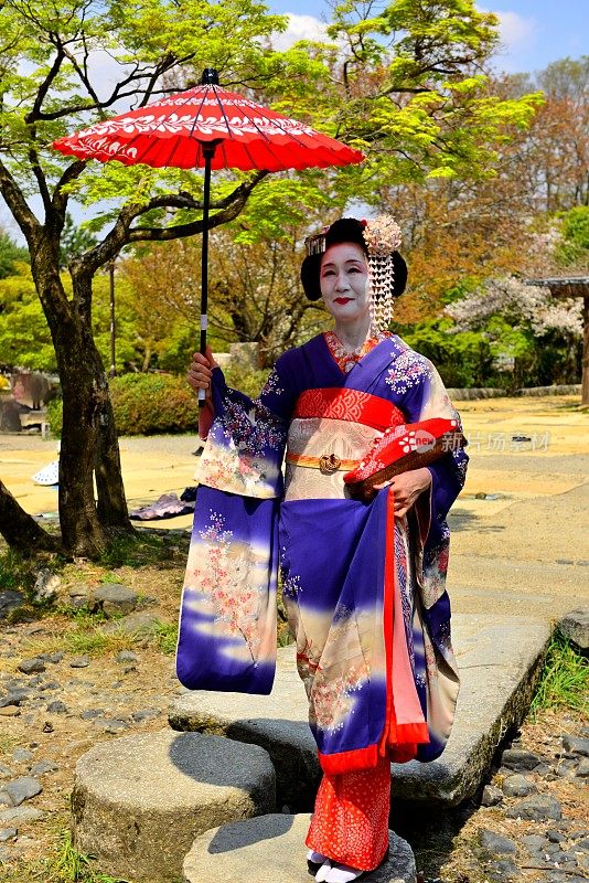 日本女人在Maiko的服装和发型享受京都的春天