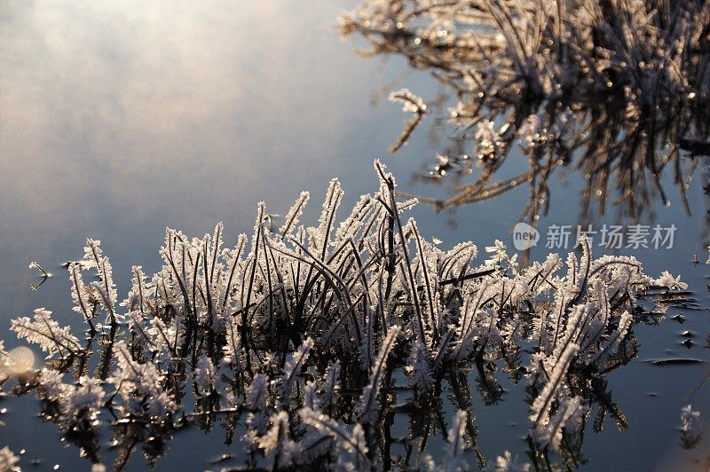 湿地结冰