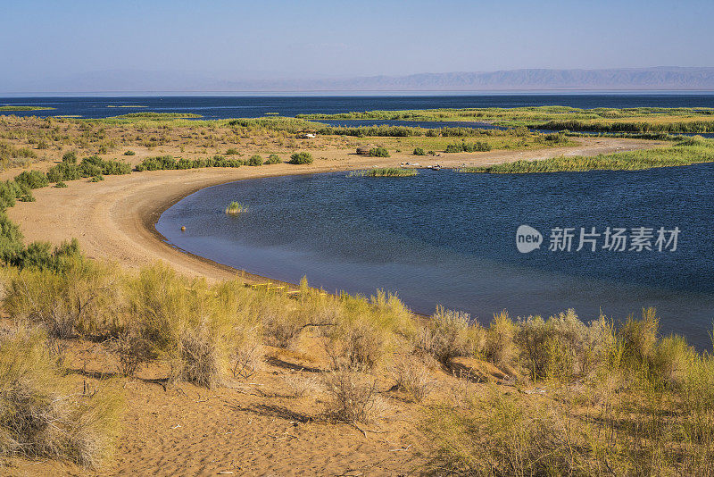 海湾，乌兹别克斯坦Kyzykum沙漠Aydar湖边缘的海滩