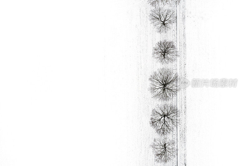 白雪覆盖的田野上的树木-抽象的鸟瞰图