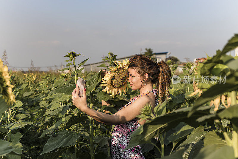 手持向日葵的美丽女子在用自拍手机拍照