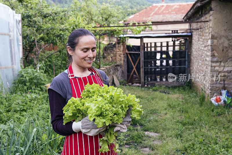 照顾花园中的植物。园艺、农业、春天。耕地，菜园。