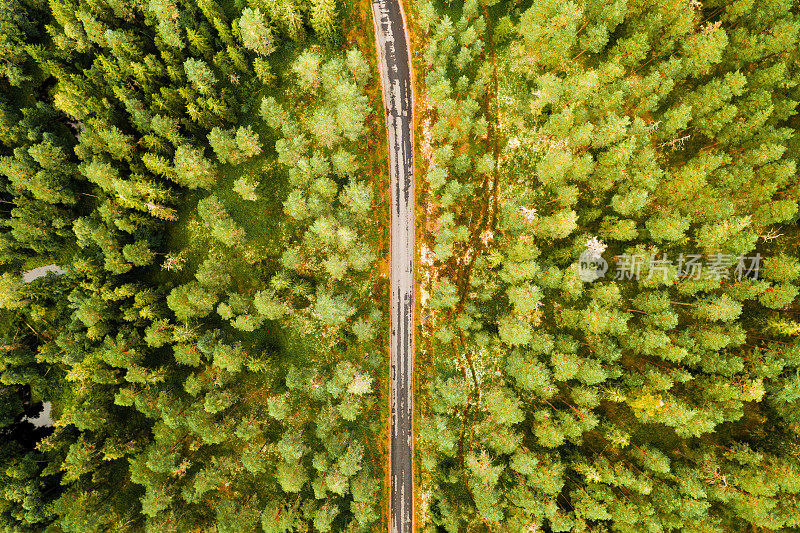 空中俯瞰瑞典森林里的一条路