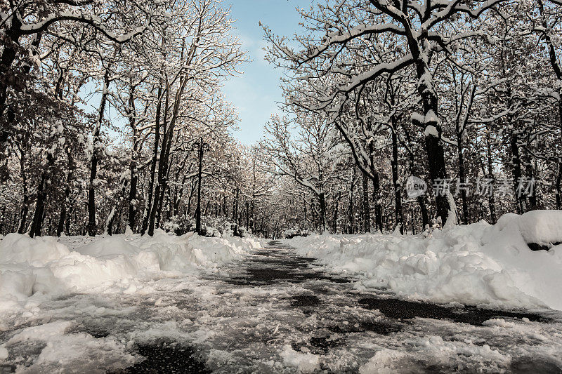 冬天的公园里有雪。