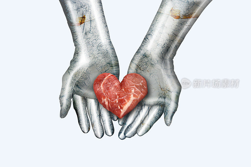 在金属机器人的双手上放置心形的人造肉。