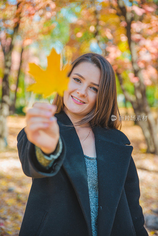 年轻漂亮的女人玩弄黄色枫叶秋天时装