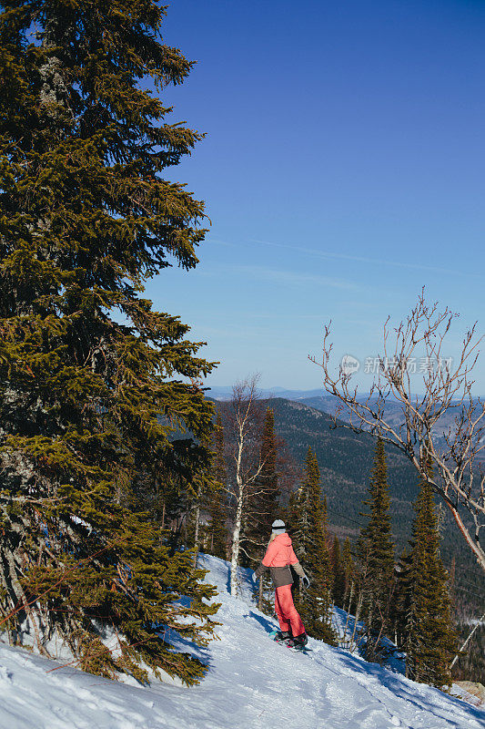 在阳光明媚的冬日里，滑雪板女自由骑手在雪林里滑雪