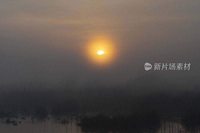 太阳升起的雾和云彩在日出俄勒冈秋天