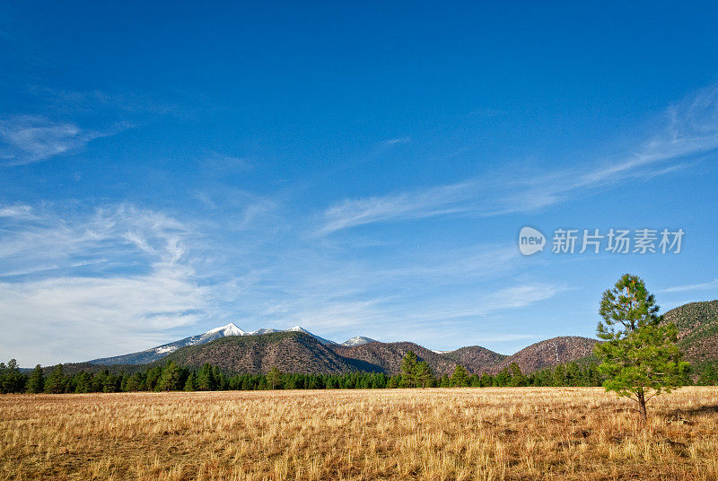 布法罗公园和旧金山峰