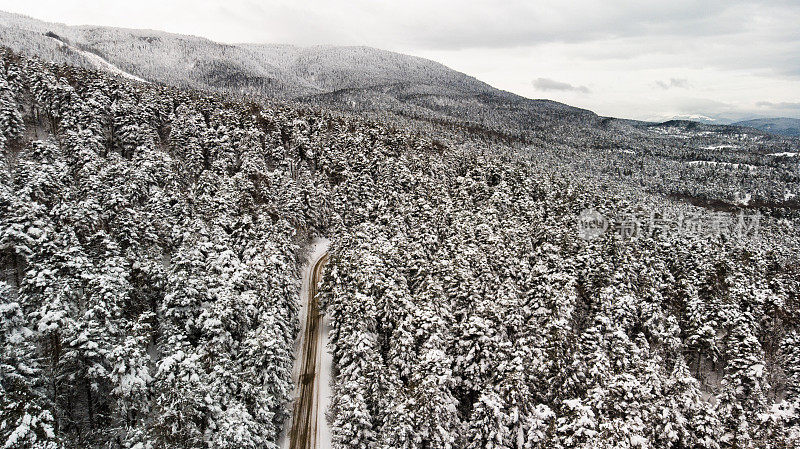 多风的道路在积雪覆盖的森林，从上到下鸟瞰图