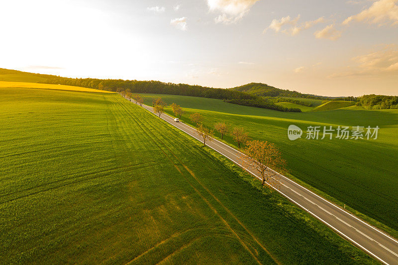 捷克共和国摩拉维亚，绿树成荫的道路和绿地