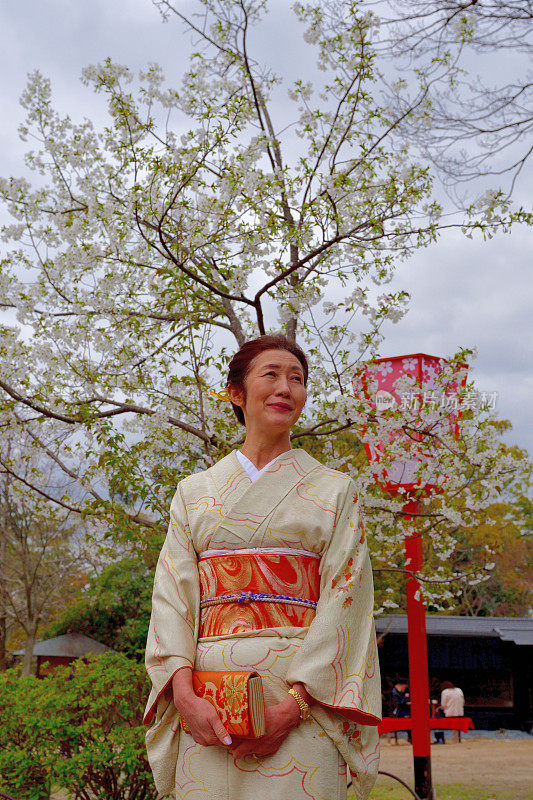 穿着和服的日本妇女在京都丸山公园欣赏樱花