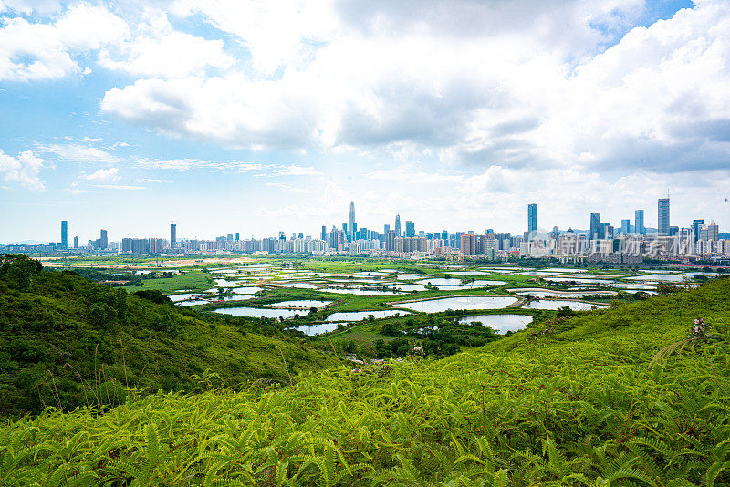 中国深圳美丽的天际线景观