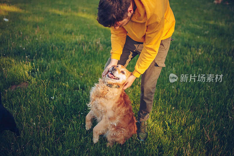 盖伊和他的狗，金毛猎犬，在院子里