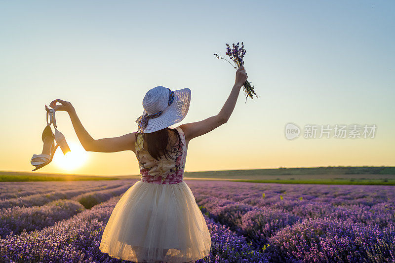 薰衣草田之美