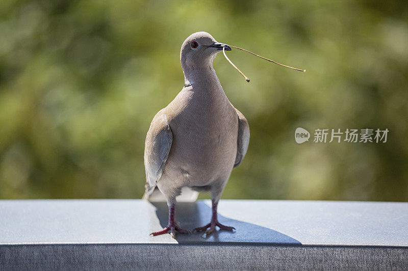 在哪里